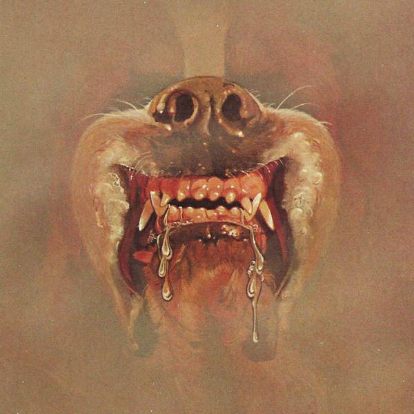 Couverture du roman Cujo de Stephen King