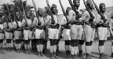 La France libre fut africaine, une évidence à redécouvrir La France libre fut africaine, une évidence à redécouvrir
