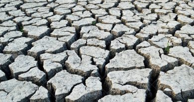 La Mort de la Terre : l&rsquo;intuition visionnaire d&rsquo;un monde qui s&rsquo;efface