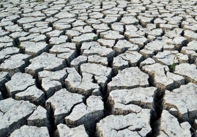 La Mort de la Terre : l&rsquo;intuition visionnaire d&rsquo;un monde qui s&rsquo;efface