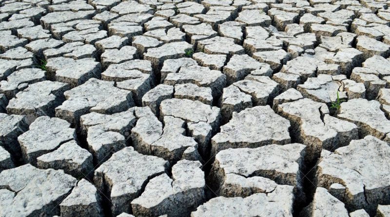 La Mort de la Terre : l&rsquo;intuition visionnaire d&rsquo;un monde qui s&rsquo;efface